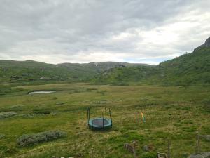 2026-06-28 11:00
