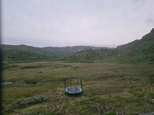 2026-07-02 05:00