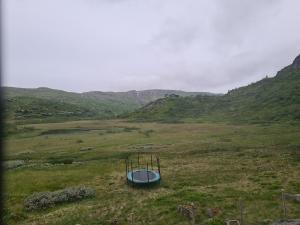 2026-07-02 06:00