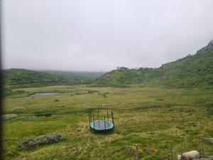 2026-07-02 08:00
