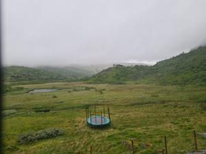 2026-07-02 10:00