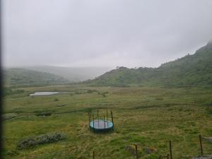 2026-07-02 11:00