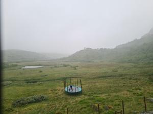 2026-07-02 13:00