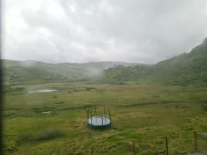 2026-07-02 16:00