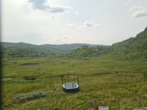 2026-07-16 14:00