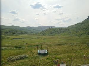 2026-07-16 15:00