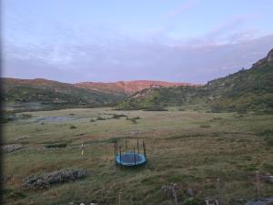 2026-07-20 05:00