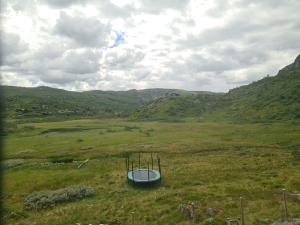 2026-07-20 14:00