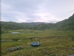 2026-07-21 20:00