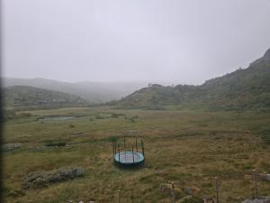 2026-07-25 06:00