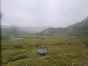 2026-07-25 13:00