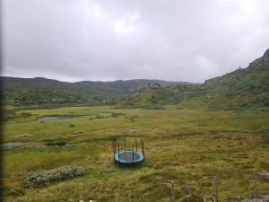2026-07-30 08:00