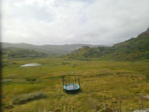 2026-08-01 13:00