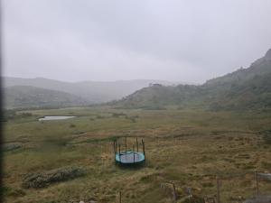2026-08-02 06:00