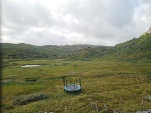 2026-08-02 11:00