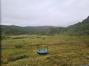 2026-08-04 16:00