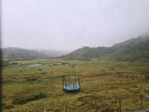 2026-08-05 12:00