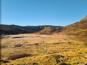 2026-10-19 10:00